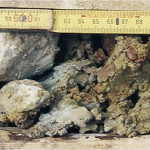 Abb. 3: Plastischer Ton und Felsbruchstückchen (aus Mergel, Silt- und Sandstein) an der Gleitfläche